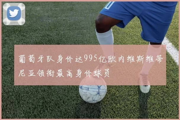 葡萄牙队身价达995亿欧内维斯维蒂尼亚领衔最高身价球员