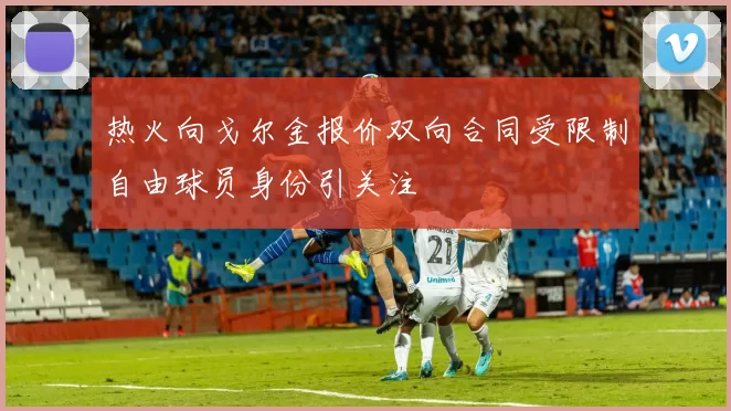 热火向戈尔金报价双向合同受限制自由球员身份引关注